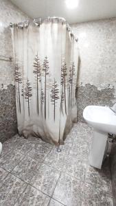 ein Badezimmer mit einem Duschvorhang, einem WC und einem Waschbecken in der Unterkunft EleGaya Guest house in Idschewan