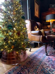 a living room with a christmas tree in the corner at 23 Mayfield in Edinburgh