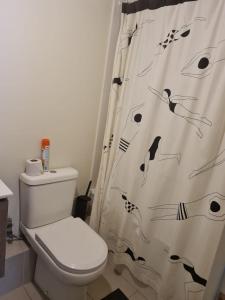 y baño con aseo y cortina de ducha. en Departamento Osorno 215, en Osorno
