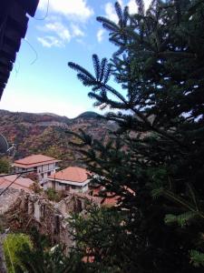 una vista de una casa con un árbol en el primer plano en Lagadia Apartments, en Lagadia