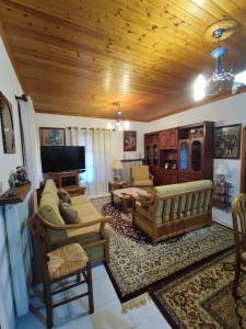 una sala de estar con muebles y techo de madera. en Lagadia Apartments, en Lagadia