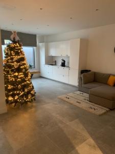 a living room with a christmas tree and a couch at Appartement op Italiëlei in Antwerp
