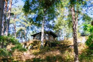 una casa en la cima de una colina en el bosque en Gistholmen, 