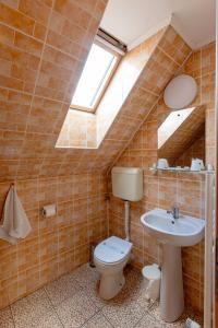 a bathroom with a toilet and a sink and a skylight at Pensiunea Joker in Sighişoara