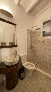 カシオピにあるvraxleri houseのバスルーム(洗面台、トイレ、シャワー付)