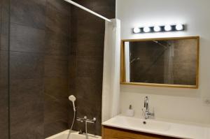 La salle de bains est pourvue d'une douche, d'un lavabo et d'un miroir. dans l'établissement Beau rivage, à Annecy