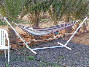 una hamaca con una silla y palmeras en Majada Blanca en Antigua