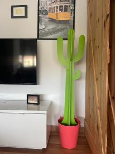 Un cactus vert dans un pot rouge à côté d'une télévision dans l'établissement BestHomeStay- Parede Beach (Lisbon), à Parede