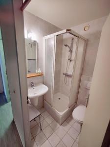 La salle de bains est pourvue d'une douche, d'un lavabo et de toilettes. dans l'établissement Studio Knokke-Heist, à Knokke-Heist