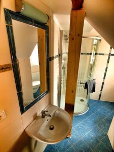 Kúpeľňa v ubytovaní Hotel Pod Kokšínem