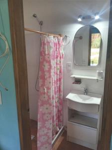 a bathroom with a sink and a shower curtain at Ruben Punta Negra in Punta Colorada