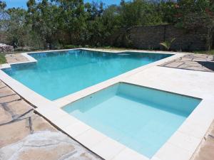 - une piscine d'eau bleue dans la cour dans l'établissement Fred Hunter Villa, à Tiwi