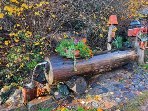 صورة لـ Gîte à la Source في Breitenbach