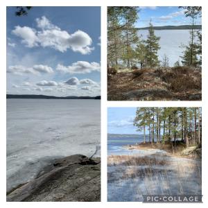 três vistas diferentes da água e das árvores em Lövåsen em Glava