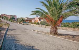 a palm tree on the side of a road at Trilo Sup in Trinità d'Agultu e Vignola