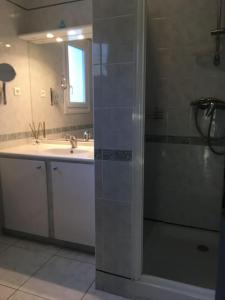 uma casa de banho com um chuveiro, um lavatório e um espelho. em Magnifique villa avec piscine en Provence Verte em La Roquebrussanne