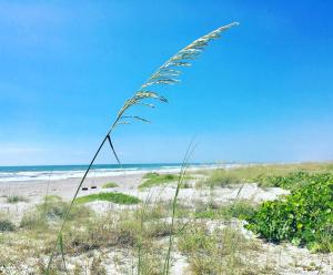 Afbeelding uit fotogalerij van Ocean Beach Villas Unit 203- Direct Oceanfront Condo! in Cocoa Beach