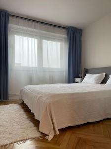 a bedroom with a bed and a large window at Apartament Mony in Timişoara