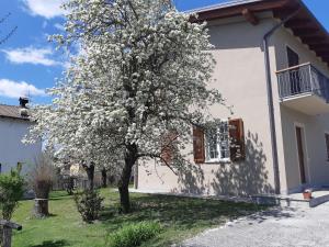 Zahrada ubytování L'Isola Dla Cerrea