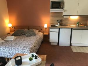 Kuchyň nebo kuchyňský kout v ubytování La Féclaz Ski aux pieds Grand Studio Tout confort + 17 fotografií