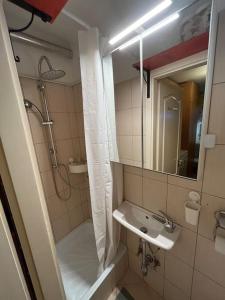 a bathroom with a shower and a sink and a mirror at Tiny Private Apartment in Central Buda. in Budapest