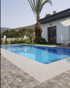 einen Pool vor einem Haus mit einer Palme in der Unterkunft Villa Toufitri in Agadir