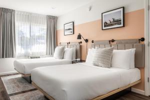 a hotel room with two beds and a window at Kasa Palo Alto in Palo Alto