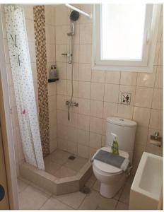 een badkamer met een douche, een toilet en een wastafel bij Happy holiday apartment in Artemida
