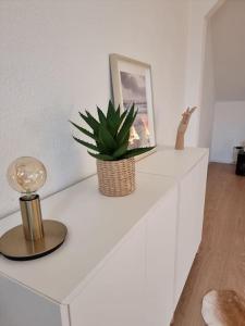 a white cabinet with a plant on top of it at Ferienwohnung für Naturliebhaber in Peenemünde