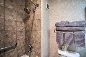 Koupelna v ubytování Cozy Colorado Studio Near Crested Butte Ski Slopes + 24 fotografií