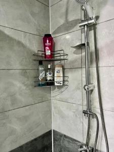 La salle de bains est pourvue d'une douche avec une étagère dans le mur. dans l'établissement Chic& cosy house with Kars Panorama, à Kars