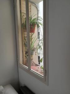 a window with potted plants in a room at Las Cañitas in Buenos Aires