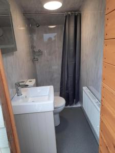 y baño con lavabo, aseo y ducha. en Wind In The Willows Luxury Glamping, en Peterborough