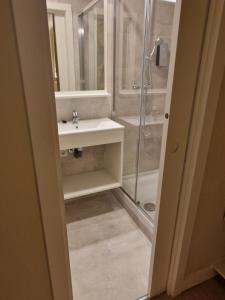 um banheiro com pia e chuveiro em Le Petit Palü- Barco em Madrid