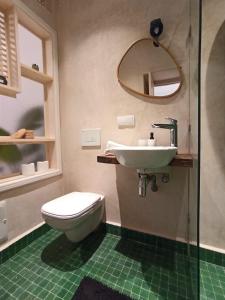 uma casa de banho com um lavatório, um WC e um espelho. em Dar YAMAR em Essaouira