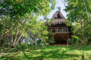 a log cabin with a grass roof in the woods at Villa Yira Eco-hotel in El Zaino