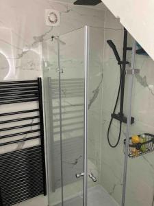 a shower with a glass door in a bathroom at Appartement duplex : Le Cosy in Montgeron