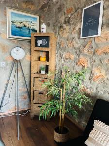 una planta en una habitación con un estante de libros en Kuća za odmor “Dida”, en Stinica