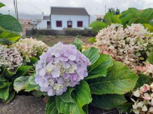 un jardin de fleurs avec une maison en arrière-plan dans l'établissement Refúgio das Pedreiras, à Santa Rita