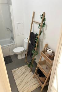 La salle de bains est pourvue de toilettes et d'une échelle. dans l'établissement F2 Charmant avec Grande Terrasse, à Corbeil-Essonnes