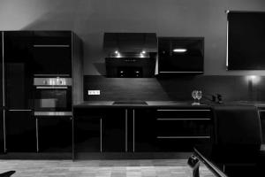 Kuchyň nebo kuchyňský kout v ubytování Fetischhaus SM Apartment/Ferienwohnung Wiesbaden