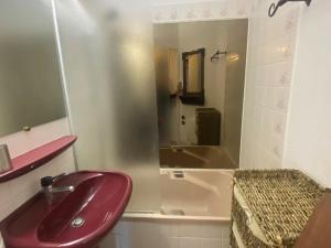 Kúpeľňa v ubytovaní Charmant T2 avec cuisine équipée à Villard-de-Lans - FR-1-515-148