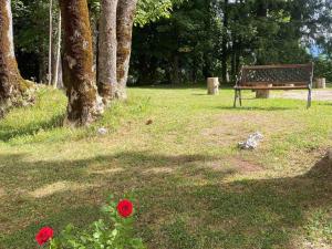 Vonkajšia záhrada v ubytovaní Charmant T2 avec cuisine équipée à Villard-de-Lans - FR-1-515-148