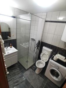 ein Bad mit einer Dusche, einem WC und einem Waschbecken in der Unterkunft DJS-Modern Studios in Skopje