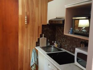 małą kuchnię ze zlewem i kuchenką mikrofalową w obiekcie Appartement charme avec terrasse, vue Mont Blanc, parking, 3/4 pers - FR-1-517-65 w Chamonix-Mont-Blanc