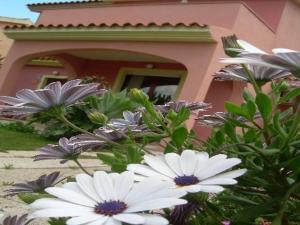 Κήπος έξω από το Ariedo Bed And Breakfast