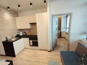 Kuchyňa alebo kuchynka v ubytovaní Apartamenty A&B Gold
