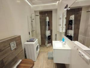 Kúpeľňa v ubytovaní Apartamenty A&B Gold + 11 fotografií
