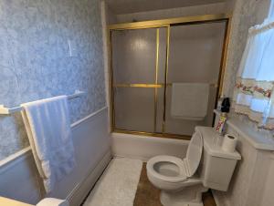 een badkamer met een toilet, een douche en een wastafel bij English Cottage in Greensboro