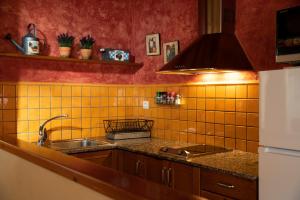 Kuchnia lub aneks kuchenny w obiekcie Apartament Cadí- Moixeró